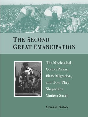 cover image of The Second Great Emancipation